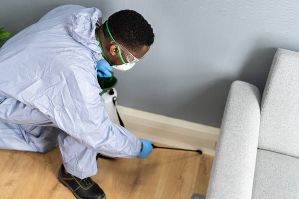 Real Estate Pest Inspections in Clinton, IL